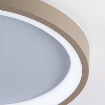 BRILAGI - Plafoniera LED dimmerabile FALCON SLIM LED/42W/230V 3000-6500K Ø 50 cm bianco/beige + telecomando