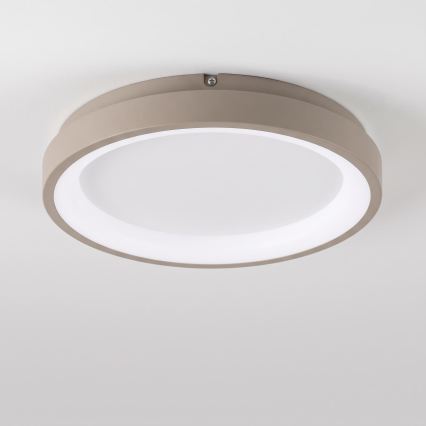 BRILAGI - Plafoniera LED dimmerabile FALCON SLIM LED/42W/230V 3000-6500K Ø 50 cm bianco/beige + telecomando