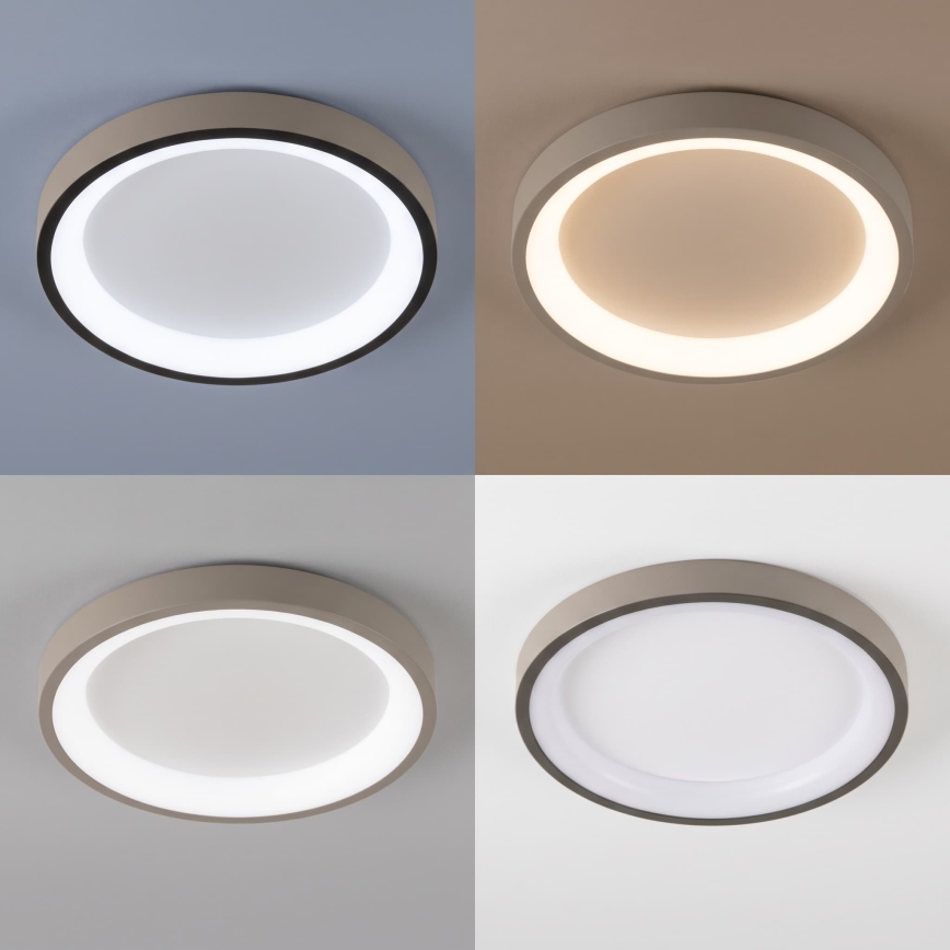 BRILAGI - Plafoniera LED dimmerabile FALCON SLIM LED/42W/230V 3000-6500K Ø 50 cm bianco/beige + telecomando