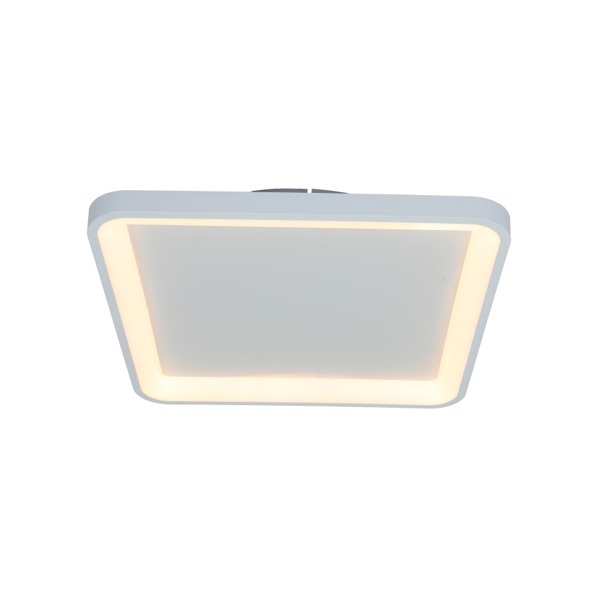 Brilagi - Plafoniera dimmerabile a LED FALCON SLIM LED/50W/230V 3000-6500K 50x50 cm bianca + telecomando