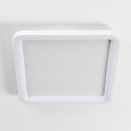 Brilagi - Plafoniera dimmerabile a LED FALCON SLIM LED/50W/230V 3000-6500K 50x50 cm bianca + telecomando