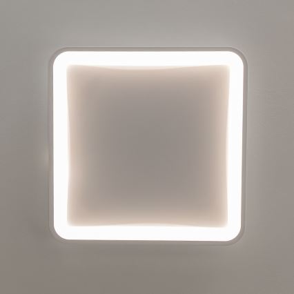 Brilagi - Plafoniera dimmerabile a LED FALCON SLIM LED/50W/230V 3000-6500K 50x50 cm bianca + telecomando