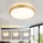Brilagi - Plafoniera LED dimmerabile GLASS POOL DOUBLE LED/48W/230V 3000-6000K 40 cm dorata + telecomando