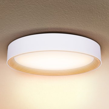 Brilagi - Plafoniera LED dimmerabile LARIOS LED/60W/230V 3000-6500K ø 49 cm bianco + telecomando