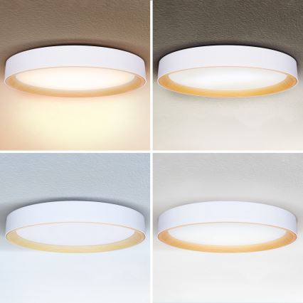 Brilagi - LED dimmerabile plafoniera LARIOS LED/72W/230V 3000-6500K bianco Ø 59 cm + telecomando