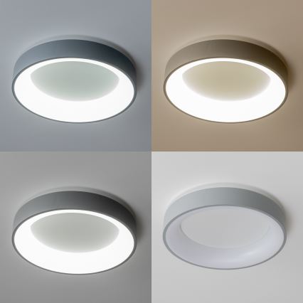 Brilagi - Plafoniera LED dimmerabile FALCON LED/40W/230V 3000-6500K grigio + telecomando