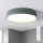 Brilagi - Plafoniera LED dimmerabile LUCIA LED/48W/230V 3000-6500K Ø 41 cm verde + telecomando