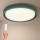 Brilagi - Plafoniera LED dimmerabile MATTEO LED/48W/230V 3000-6500K Ø 41 cm verde + telecomando incluso