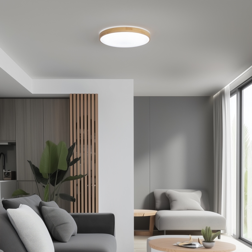 Brilagi - Plafoniera LED dimmerabile PINE LED/24W/230V + telecomando