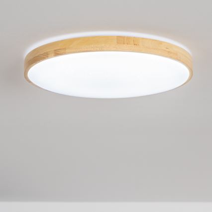 Brilagi - Plafoniera LED dimmerabile PINE LED/60W/230V + telecomando