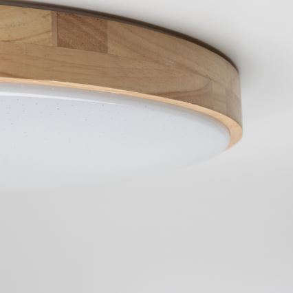 Brilagi - Plafoniera LED dimmerabile PINE LED/60W/230V + telecomando