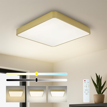 Brilagi - Plafoniera LED dimmerabile POOL LED/36W/230V 3000-6000K 40x40 cm oro + telecomando