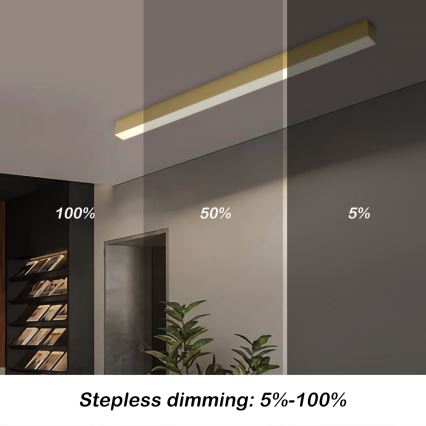 Brilagi - Plafoniera LED dimmerabile SLEEKLINE SMART LED/40W/230V 3000-6000K Wi-Fi Tuya oro + telecomando
