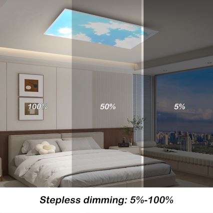 Brilagi - Plafoniera LED dimmerabile SLIMFRAME SKY LED/80W/230V 120x60 cm 3000-6000K argento/blu + telecomando