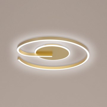 Brilagi -Plafoniera LED dimmerabile SPIRAL LED/56W/230V 3000/4000/6000K+ telecomando