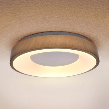 Brilagi - Plafoniera LED DORIA LED/24W/230V
