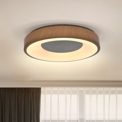 Brilagi - Plafoniera LED DORIA LED/24W/230V