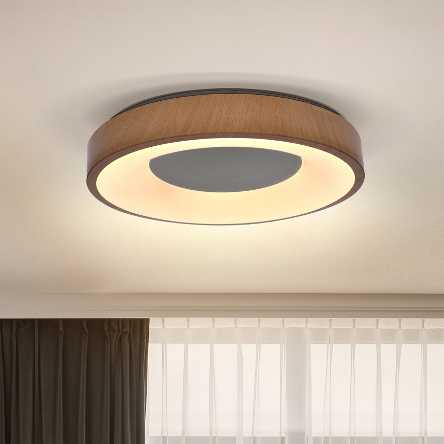 Brilagi - Plafoniera LED DORIA LED/24W/230V