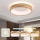 Brilagi - Plafoniera LED FALCON WOOD LED/30W/230V 3000/4000/6000K Ø 45 cm legno
