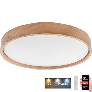 Brilagi - Plafoniera LED MANAROLA SMART LED/36W/230V 2700-6500K quercia diametro 51 cm Wi-Fi + telecomando Tuya