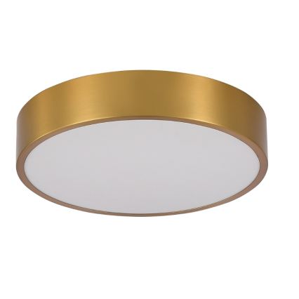 Brilagi - Plafoniera da bagno a LED POOL, 36 W, 230 V, 3000/4000/5500 K, Ø 40 cm, IP54, bronzo