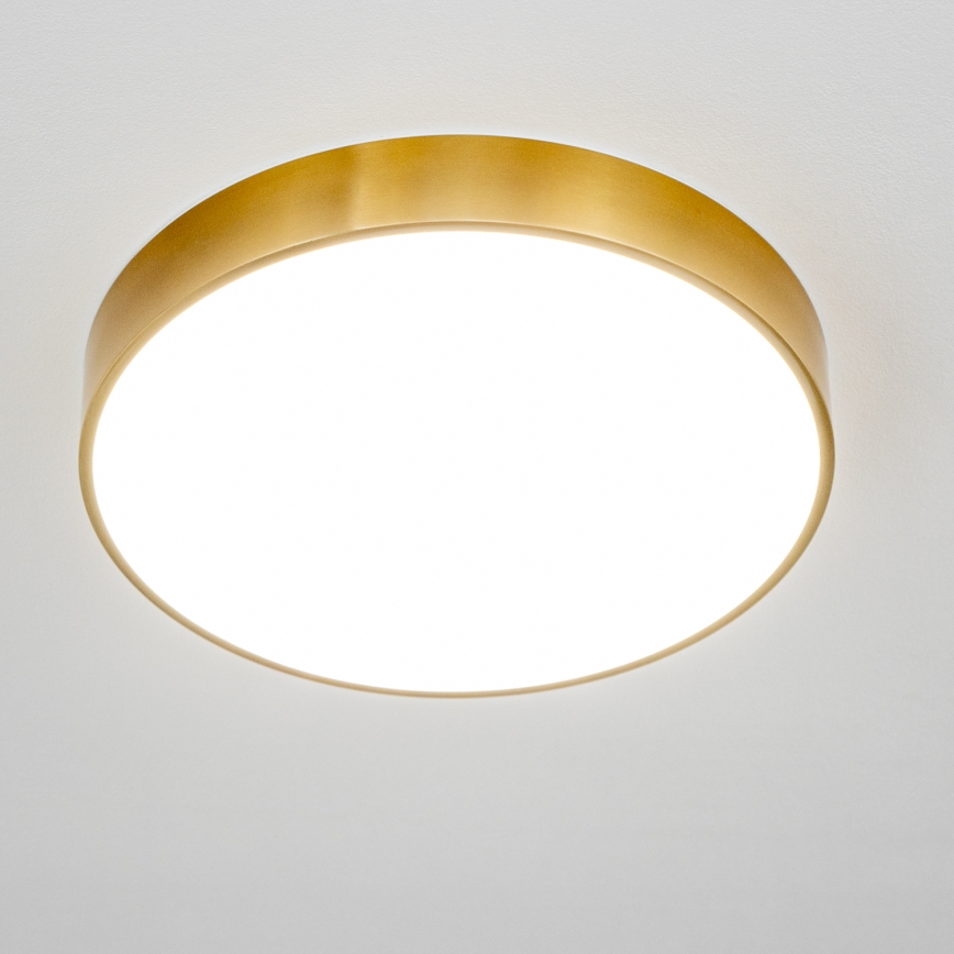 Brilagi - Plafoniera da bagno a LED POOL, 36 W, 230 V, 3000/4000/5500 K, Ø 40 cm, IP54, bronzo