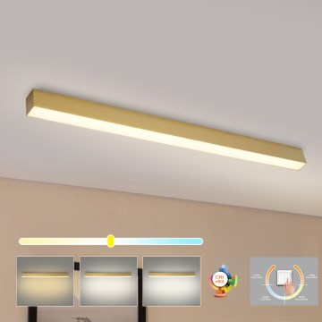 Brilagi - Plafoniera LED per bagno SLEEKLINE LED/40W/230V 3000/4500/6000K dorata IP44