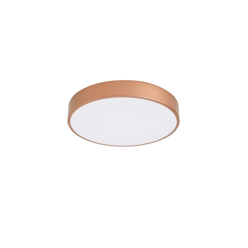 BRILAGI - Lampada LED da soffitto POOL LED/48W/230V 3000/4000/6000K Ø 40 cm ramata