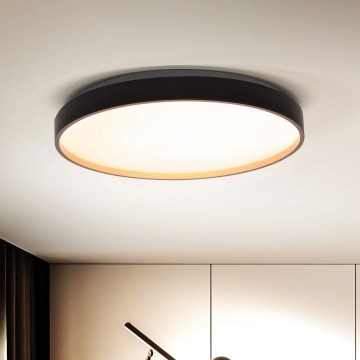 Brilagi - Plafonnier à intensité variable CALA LED/48W/230V 3000-6500K d. 38 cm + télécommande