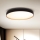 Brilagi - Plafonnier à intensité variable CALA LED/48W/230V 3000-6500K d. 38 cm + télécommande