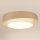 Brilagi - Plafonnier à intensité variable DOVER SHINE LED/24W/230V 3000/4000/6500K gris/crème + télécommande