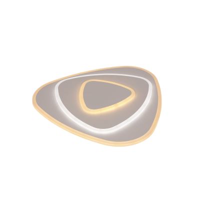 Brilagi - Plafonnier à intensité variable MODERN LED/58W/230V 2700-6500K + Télécommande