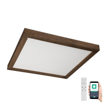 Brilagi - Plafonnier à intensité variable salle de bain WOODY FRAME LED/50W/230V chêne 60x60 cm 3000-6000K IP44 + Télécommande