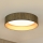Brilagi - Plafonnier à intensité variable VEGAS SHINE LED/24W/230V 3000/4000/6500K paille marron/doré + Télécommande
