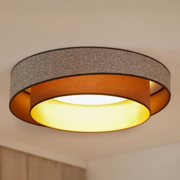 Brilagi - Plafonnier à intensité variable VEGAS SHINE LED/24W/230V d. 60 cm 3000/4000/6500K marron + télécommande