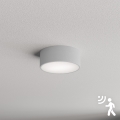Brilagi - Plafonnier avec détecteur CLARE 1xE27/40W/230V d. 20 cm gris