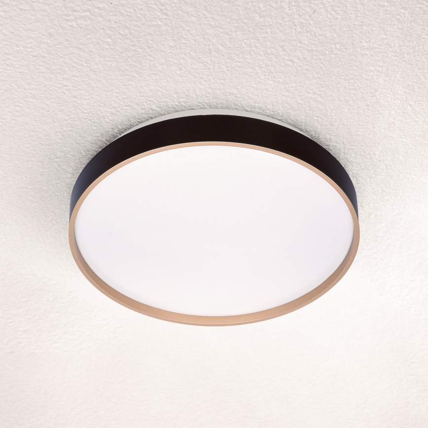 Brilagi - Plafonnier CALA LED/24W/230V