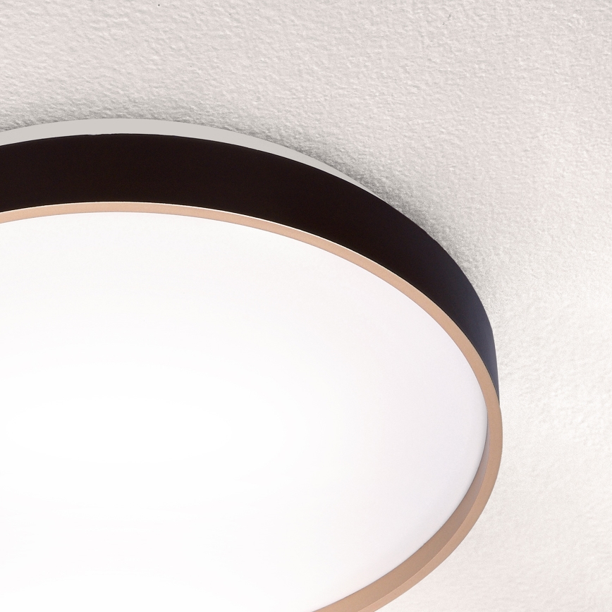 Brilagi - Plafonnier CALA LED/24W/230V