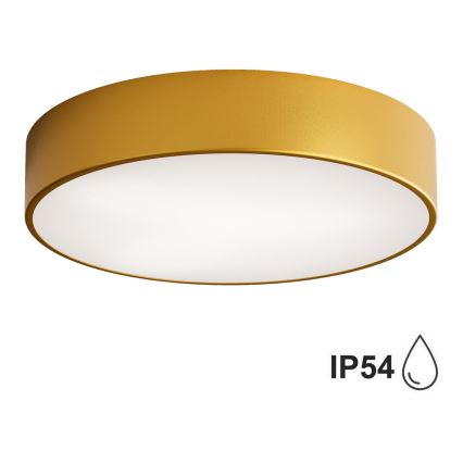 Brilagi - Plafonnier de salle de bain CLARE 2xE27/24W/230V d. 40 cm IP54 doré