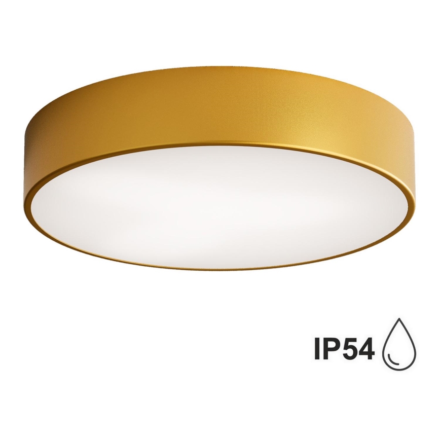 Brilagi - Plafonnier de salle de bain CLARE 2xE27/24W/230V d. 40 cm IP54 doré