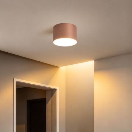 BRILAGI - Plafonnier pour salle de bains FORIS LED/9W/230V Ø 9 cm bronze IP44 CRI 90