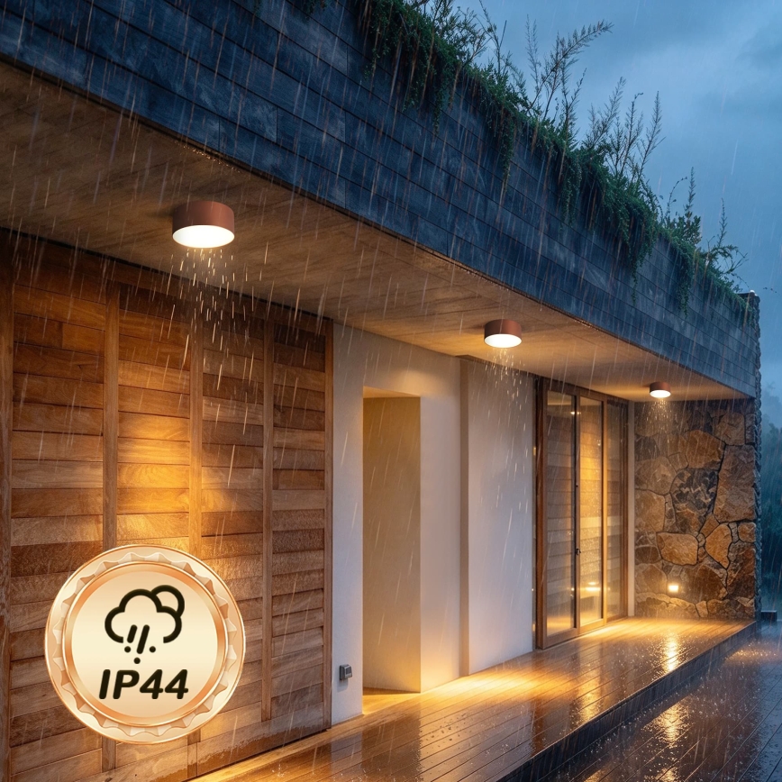 BRILAGI - Plafonnier d'extérieur FORIS LED/20W/230V Ø 15 cm bronze IP44