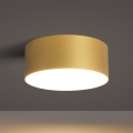BRILAGI - Plafonnier d'extérieur LED FORIS LED/20W/230V Ø 15 cm doré IP44