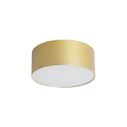 BRILAGI - Plafonnier d'extérieur LED FORIS LED/20W/230V Ø 15 cm doré IP44