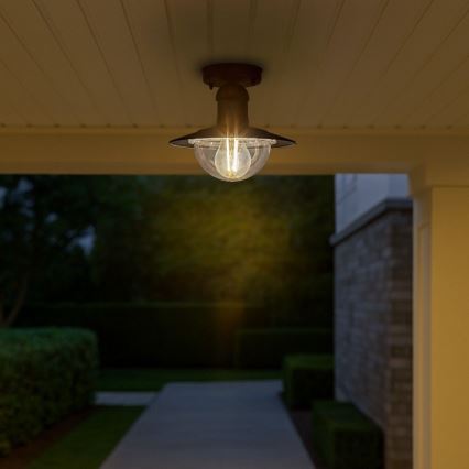 Brilagi - Plafonnier d'extérieur MOLDE 1xE27/60W IP44 noir