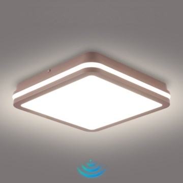 Brilagi - Plafonnier extérieur LED avec capteur BENE LED/24W/230V 26 x 26 cm brun IP54