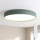 Brilagi - Plafonnier LED à intensité variable LUCIA LED/60W/230V 3000-6500K Ø 59 cm vert + télécommande
