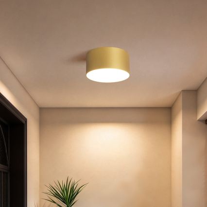 BRILAGI - Plafonnier LED d'extérieur FORIS LED/14W/230V Ø 12 cm doré IP44