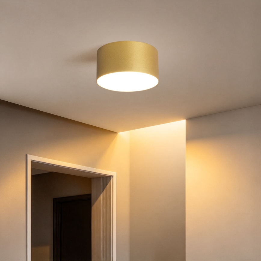 BRILAGI - Plafonnier LED d'extérieur FORIS LED/14W/230V Ø 12 cm doré IP44