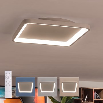 BRILAGI - Plafonnier LED dimmable FALCON SLIM LED/50W/230V 3000-6500K 50x50 cm beige + télécommande